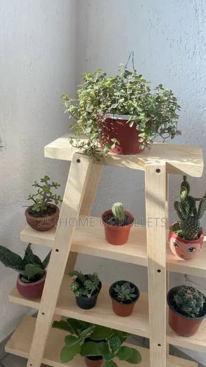 Flower Stands