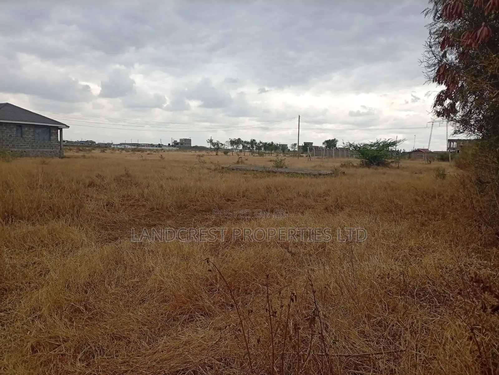 50*100 Plot for Sale in Jujafarm