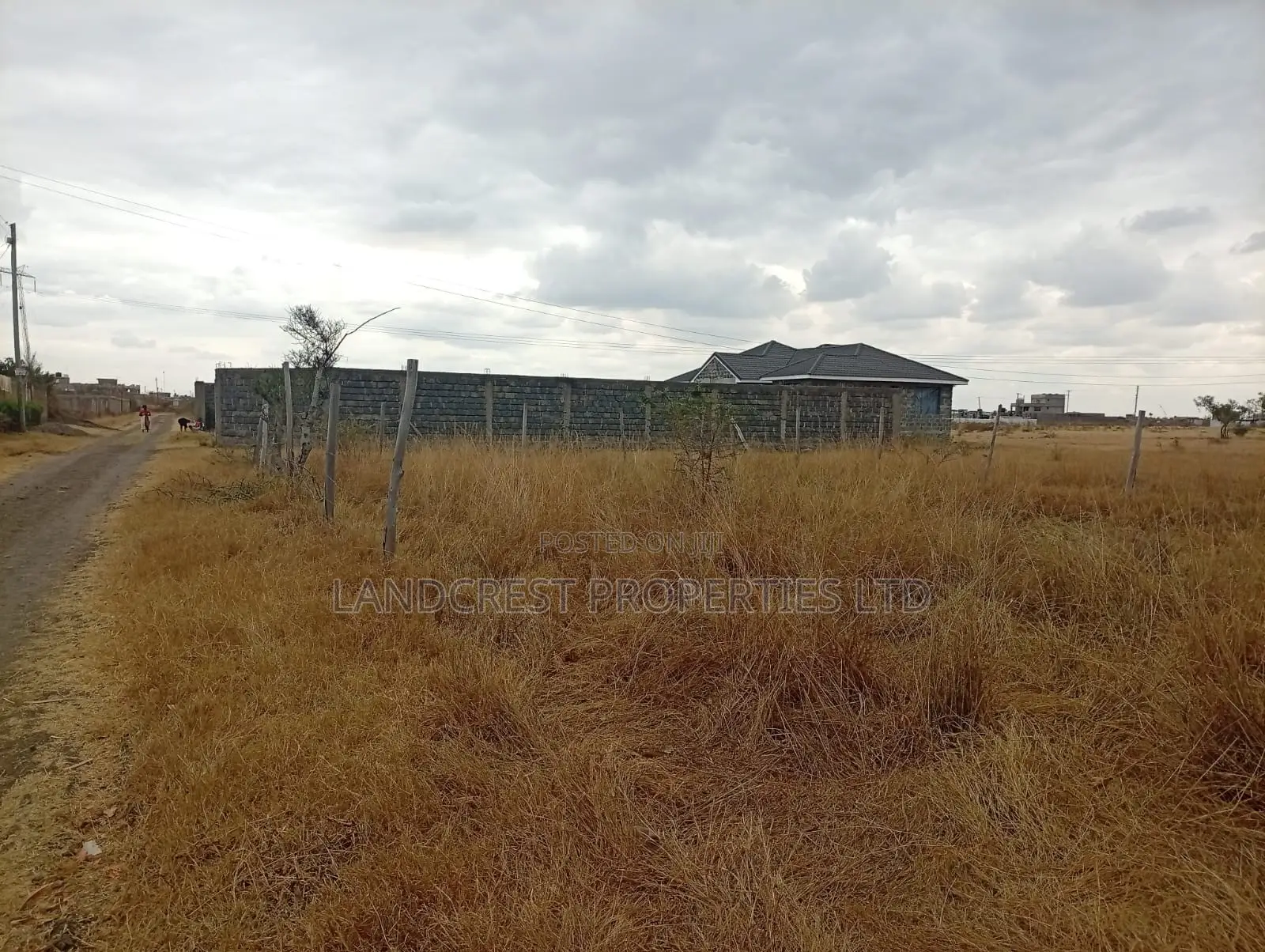 50*100 Plot for Sale in Jujafarm