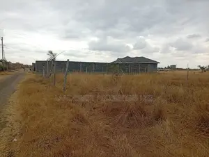 50*100 Plot for Sale in Jujafarm