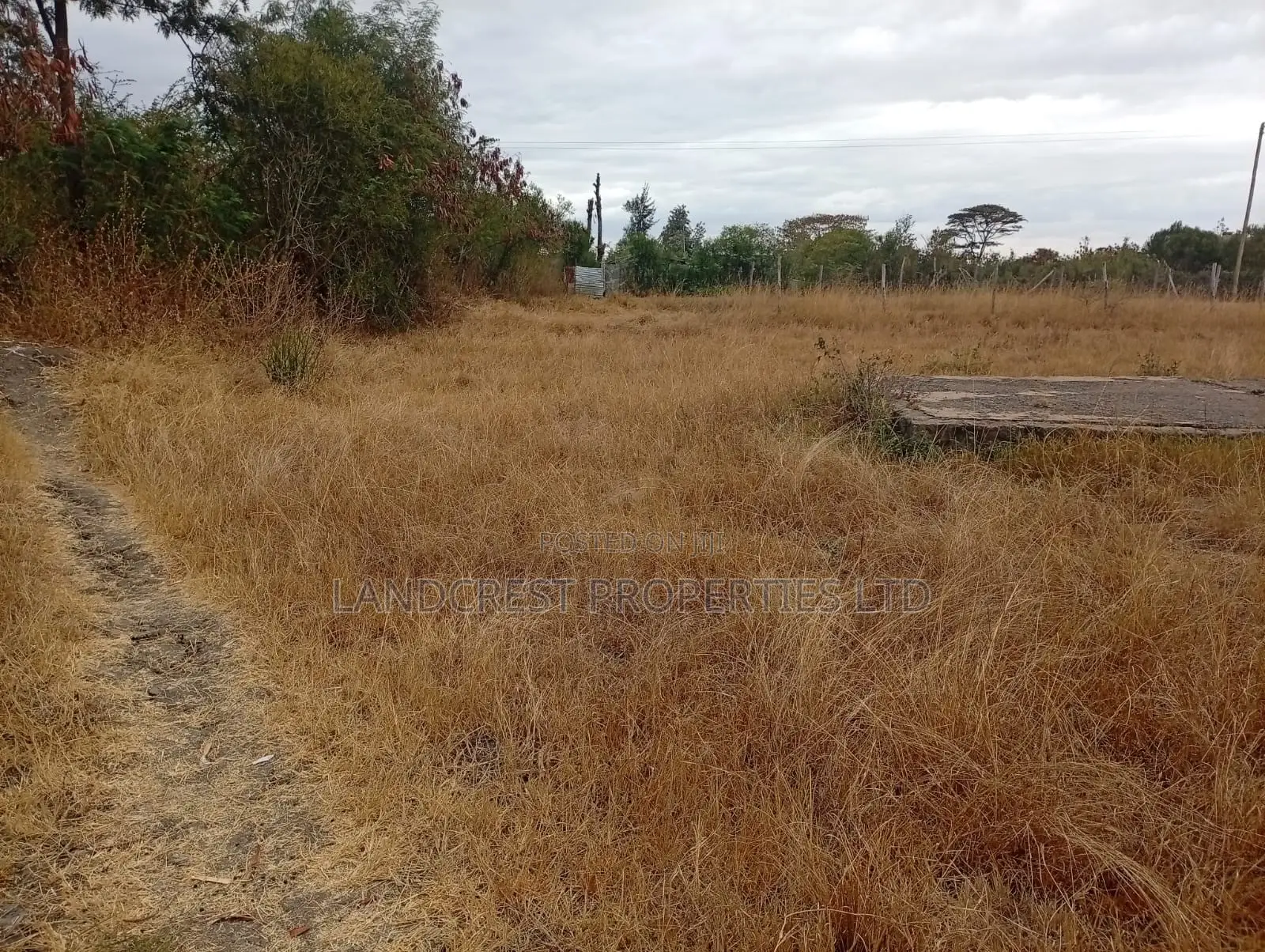 50*100 Plot for Sale in Jujafarm