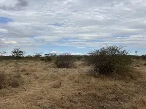 2 Acre Land Kenanie Comercial