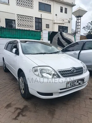 Toyota Corolla Fielder 2004 Pearl