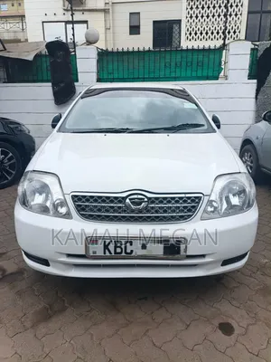 Toyota Corolla Fielder 2004 Pearl
