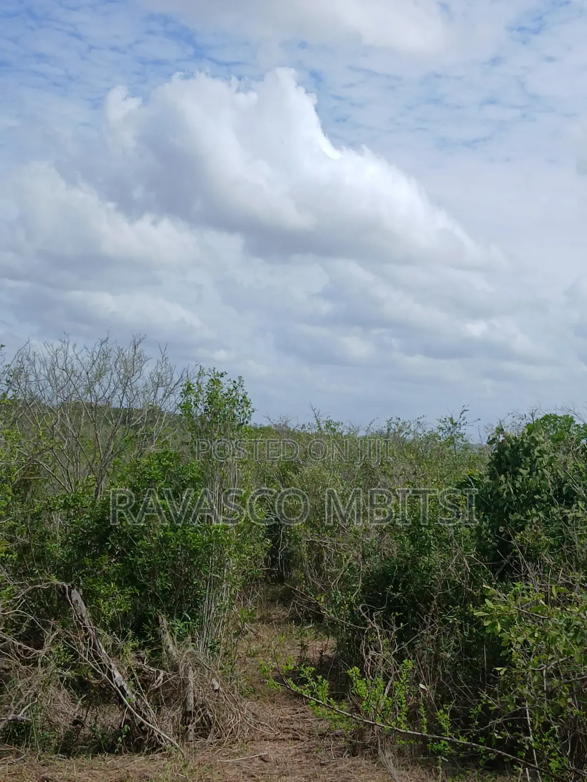 90 Acres Forsale in Malindi Fundisa