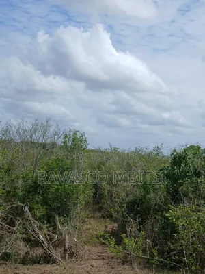 90 Acres Forsale in Malindi Fundisa