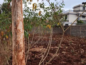 1/8 Acre Ngoigwa
