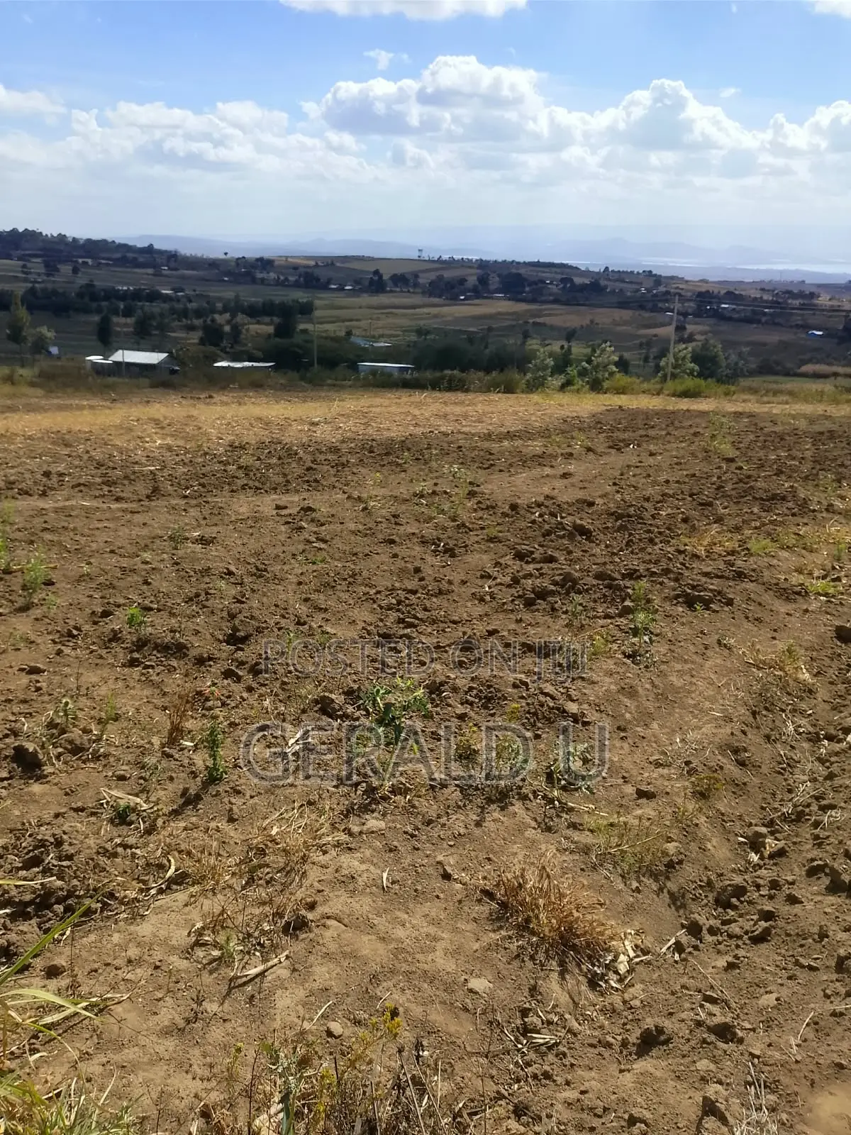 3 Prime 50 by 100 Plots for Sale in Mirera, Naivasha Each 