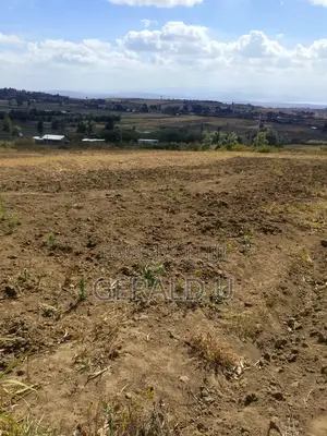 3 Prime 50 by 100 Plots for Sale in Mirera, Naivasha Each 