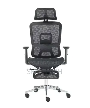 Orthopedics Executive Ergonomic Chair