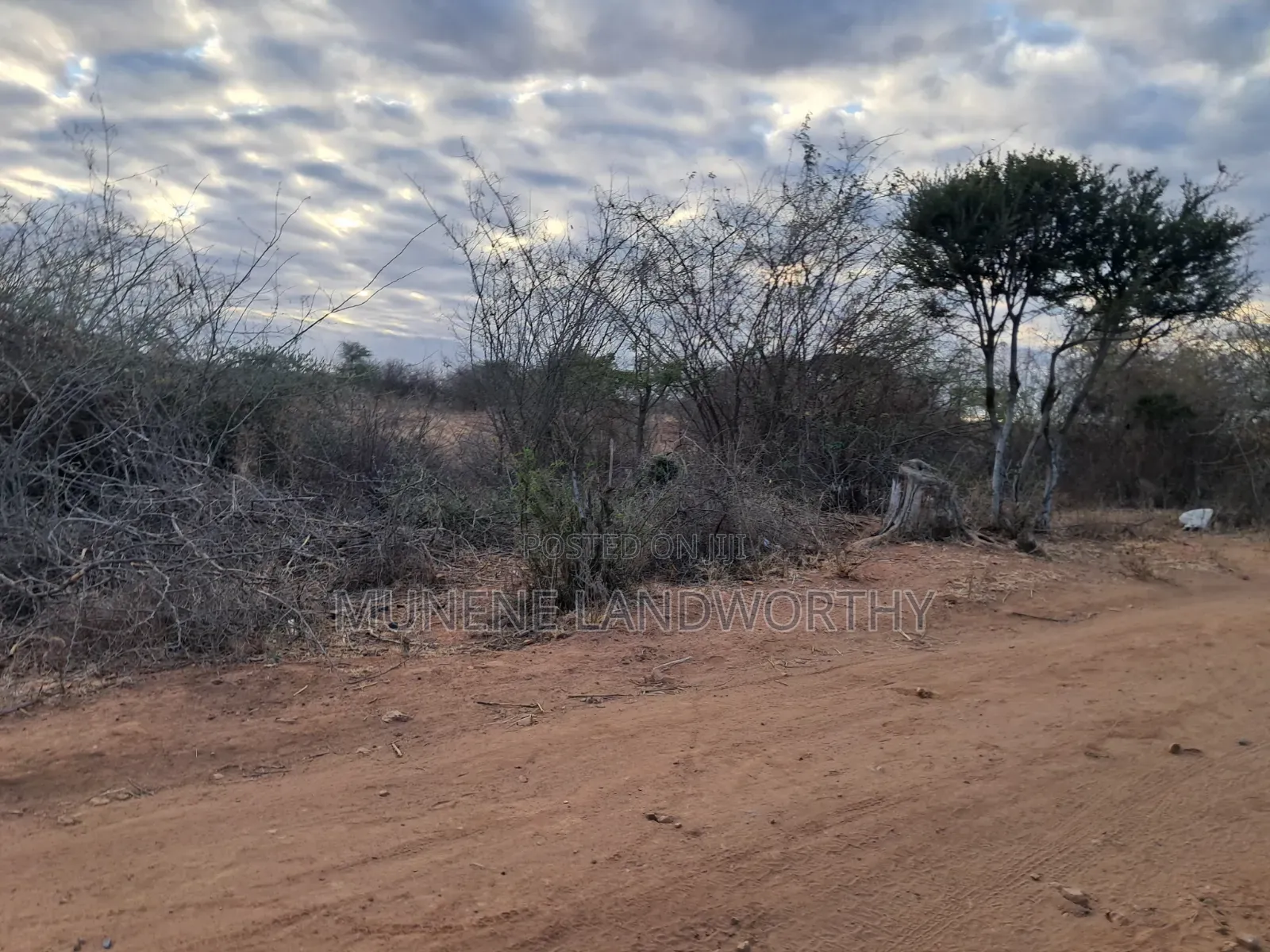Embu Mutuobare, 2 Acres Next to the Institution