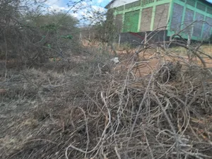 Embu Mutuobare, 2 Acres Next to the Institution