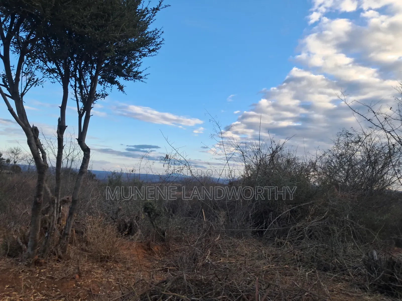 Embu Mutuobare, 2 Acres Next to the Institution