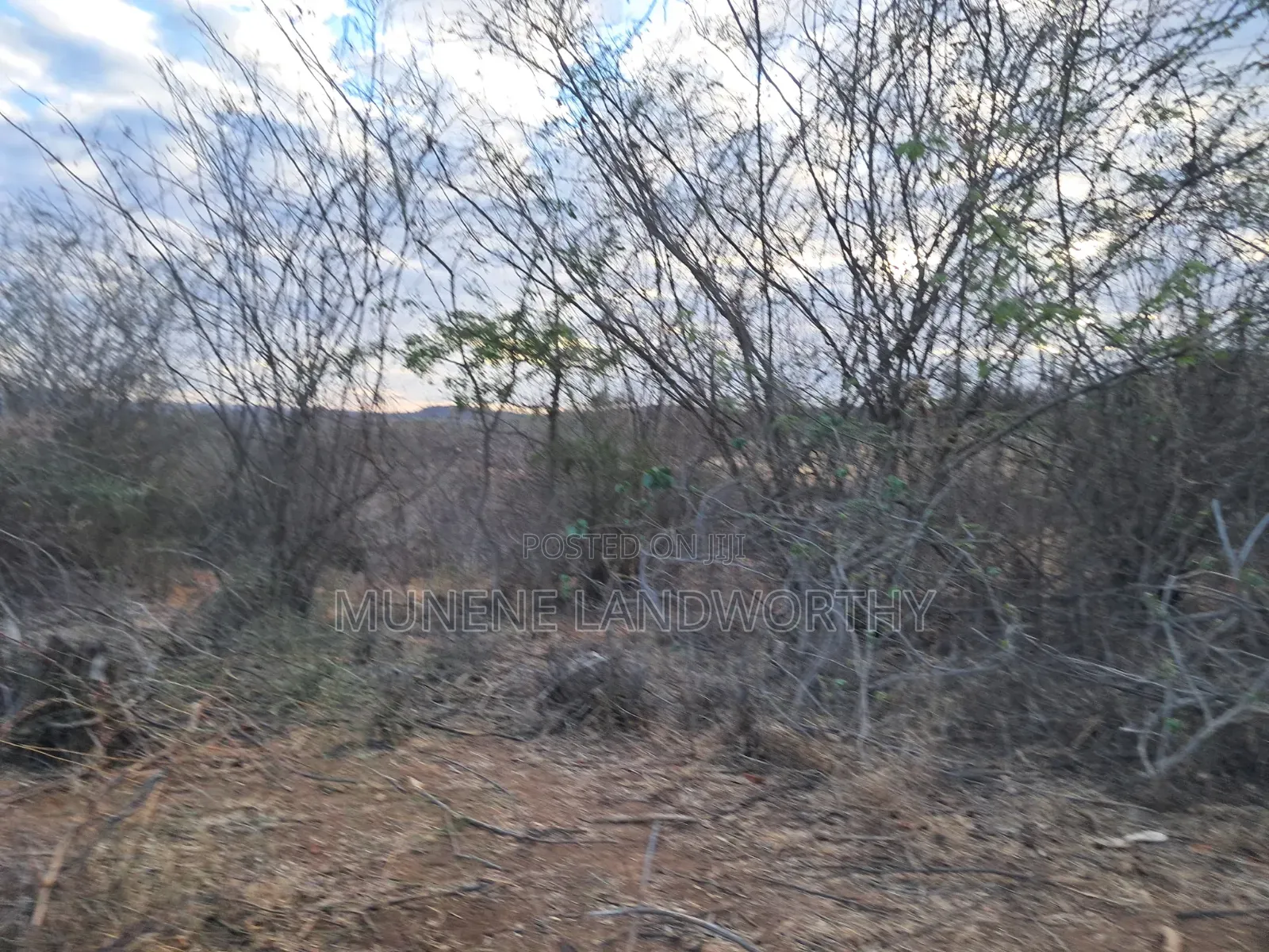 Embu Mutuobare, 2 Acres Next to the Institution