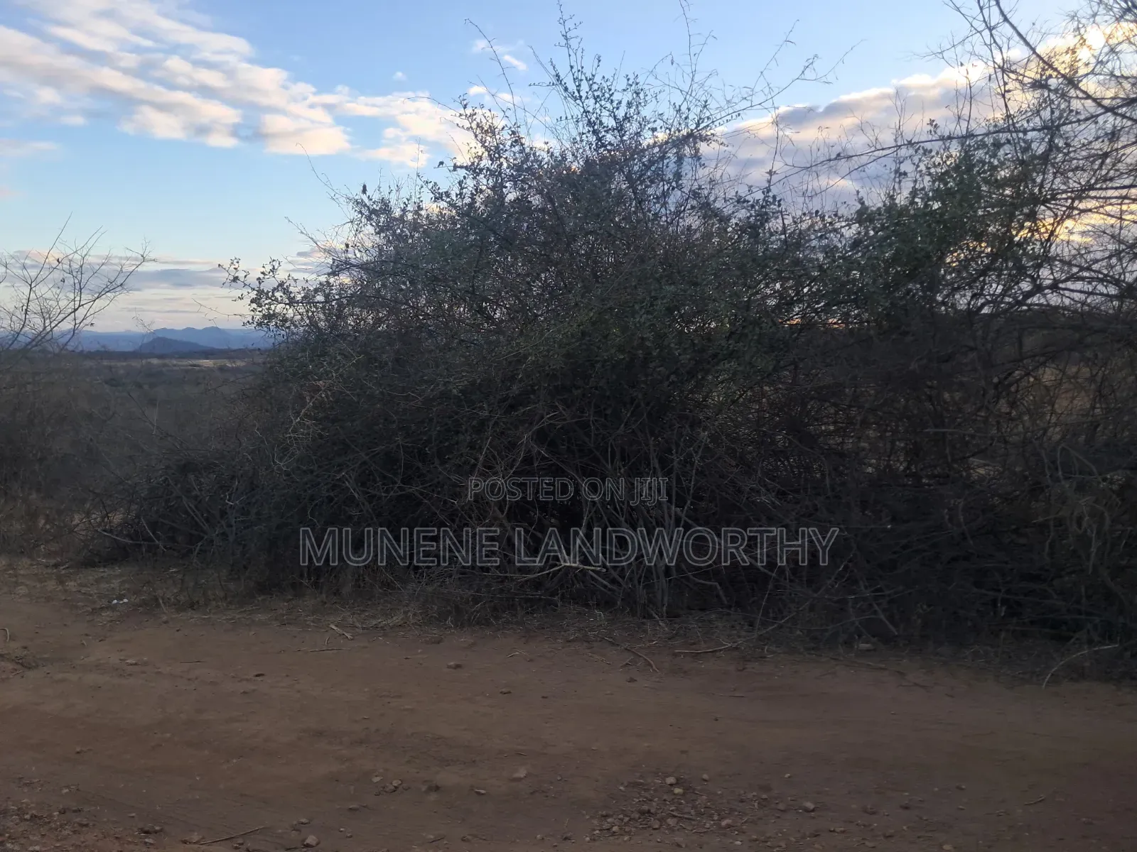 Embu Mutuobare, 2 Acres Next to the Institution