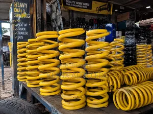 Heavy Duty Springs for All Vehicle