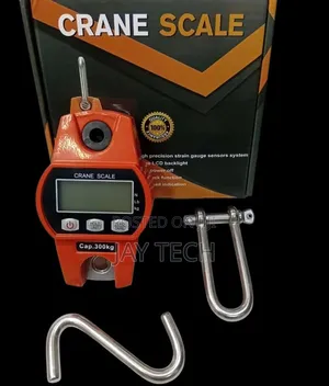 300kg Weighing Scale/300kg Hanging Scale