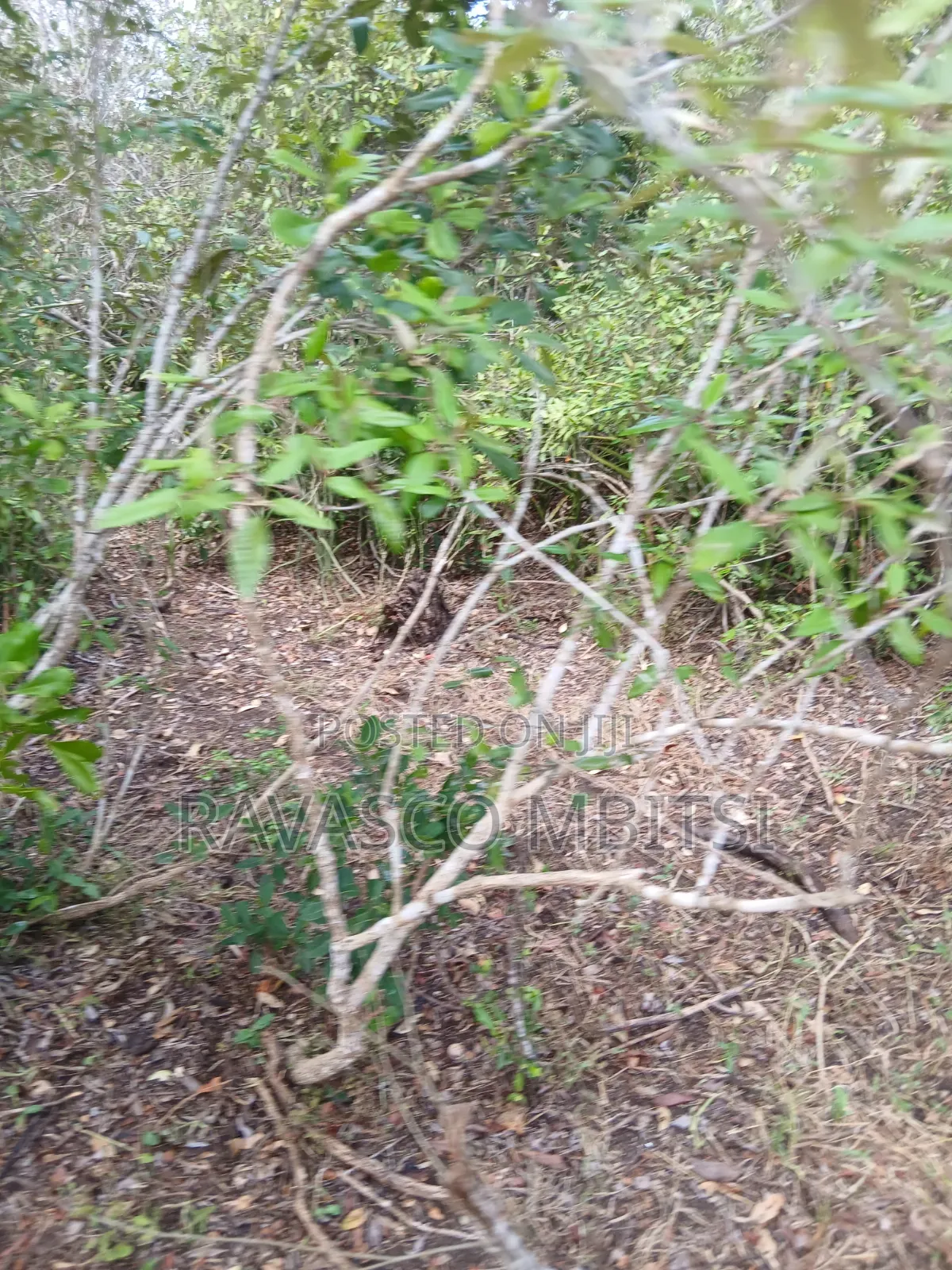 19 Acres Forsale in Malindi Boreshingwaya