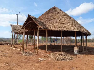 Professional Makuti Dealers Kenya