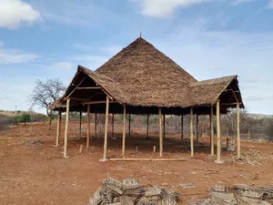 Professional Makuti Dealers Kenya