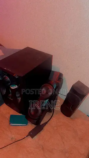 Alyson’s Speaker