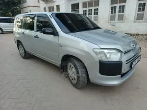 Toyota Probox 2018 Silver