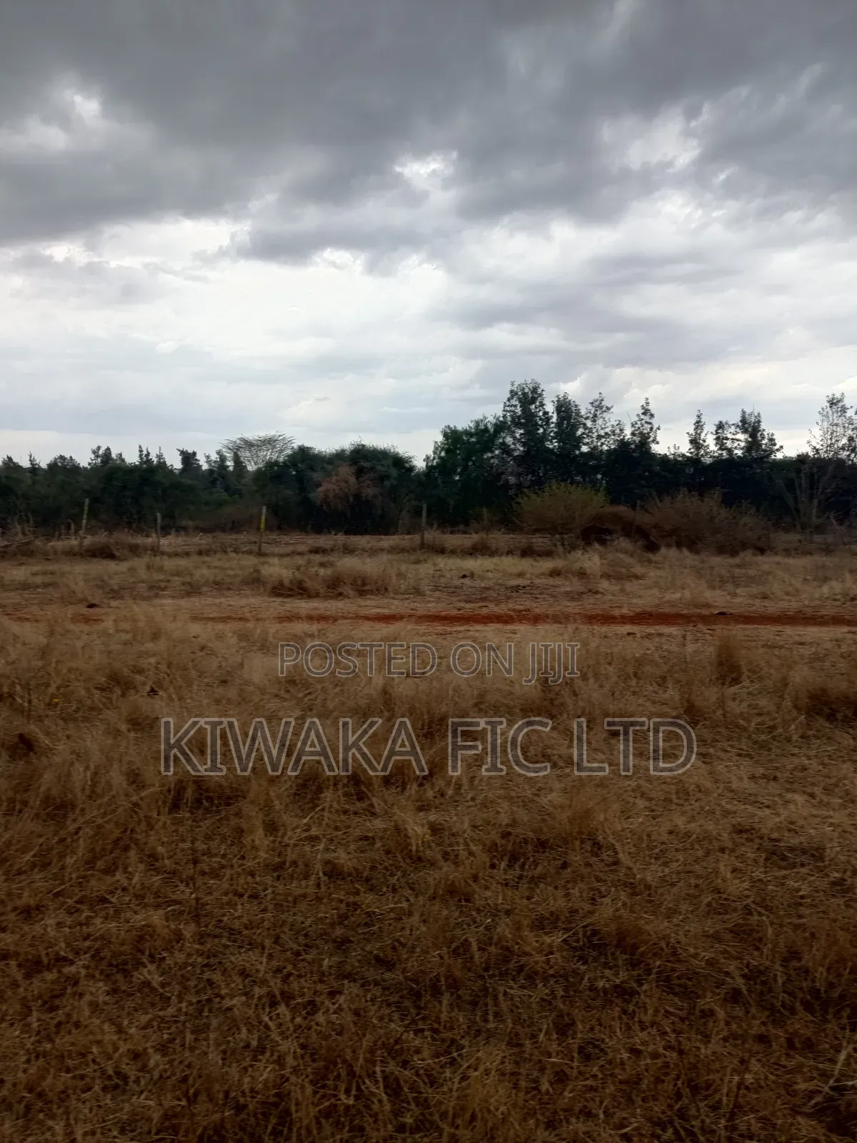 A School to Let in Kamulu