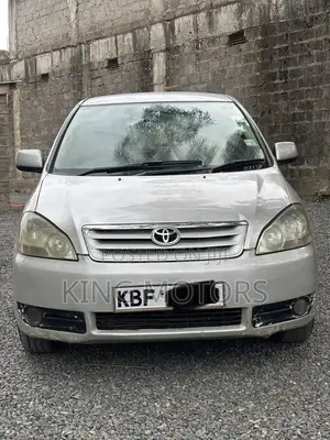 Toyota Ipsum 2003 Gray