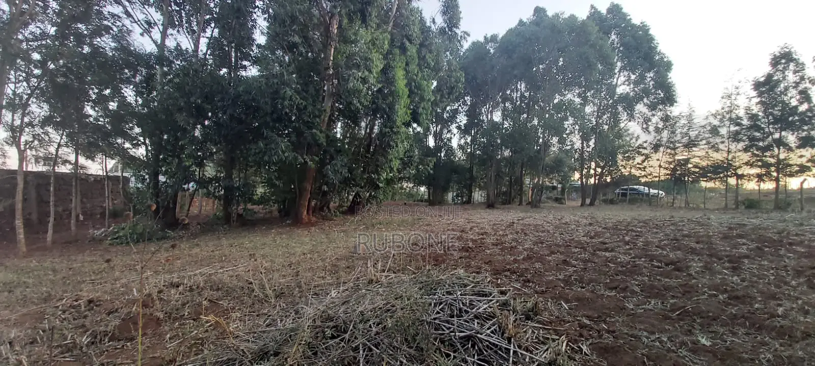 Kikuyu, Kamangu, Tarmac 0.5 Acre HOT SALE With Mature Trees and Fence
