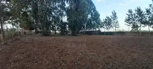 Kikuyu, Kamangu, Tarmac 0.5 Acre HOT SALE With Mature Trees and Fence