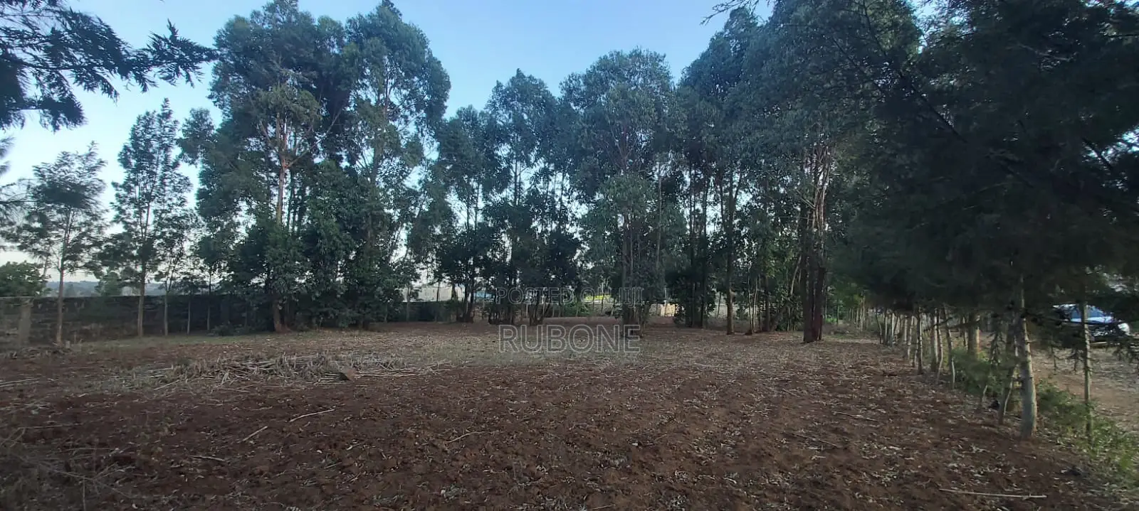 Kikuyu, Kamangu, Tarmac 0.5 Acre HOT SALE With Mature Trees and Fence