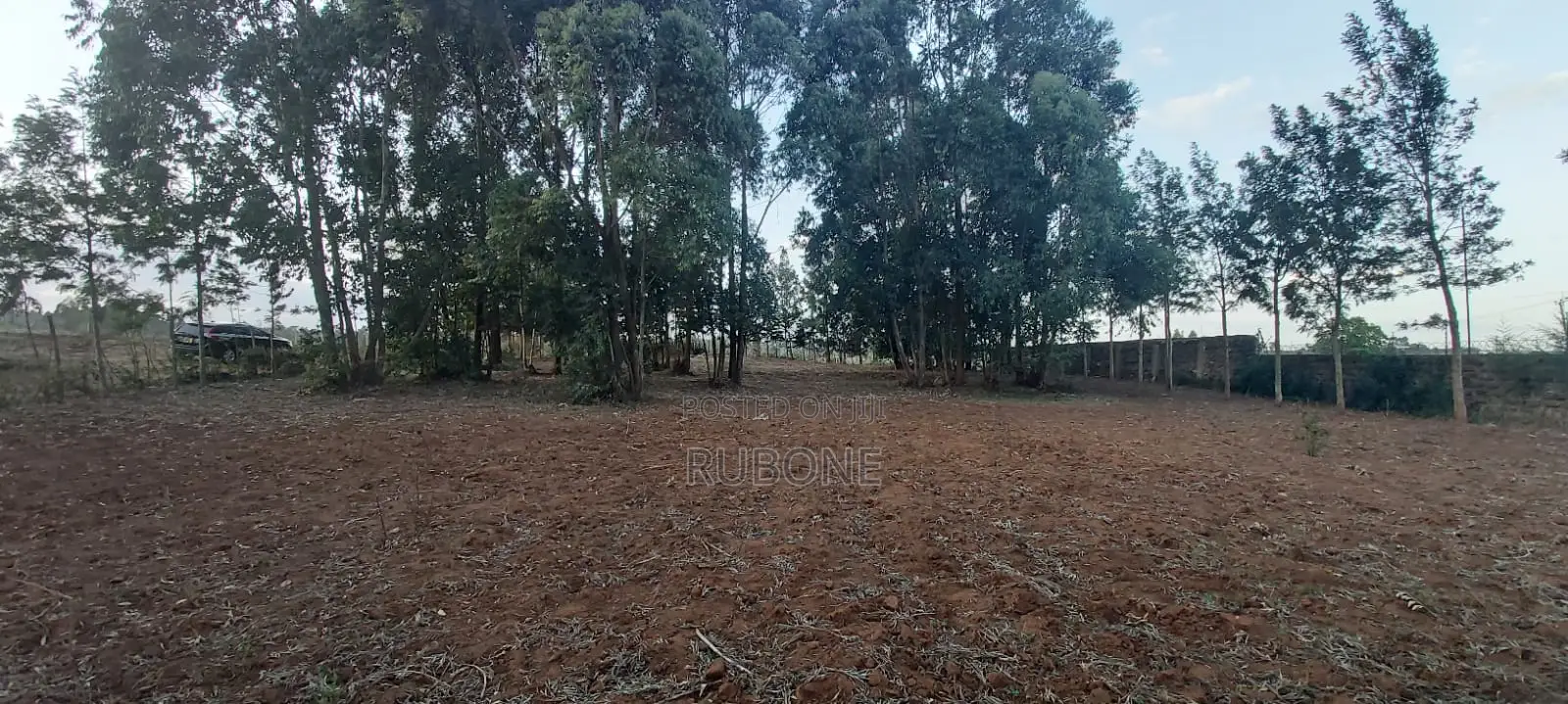 Kikuyu, Kamangu, Tarmac 0.5 Acre HOT SALE With Mature Trees and Fence