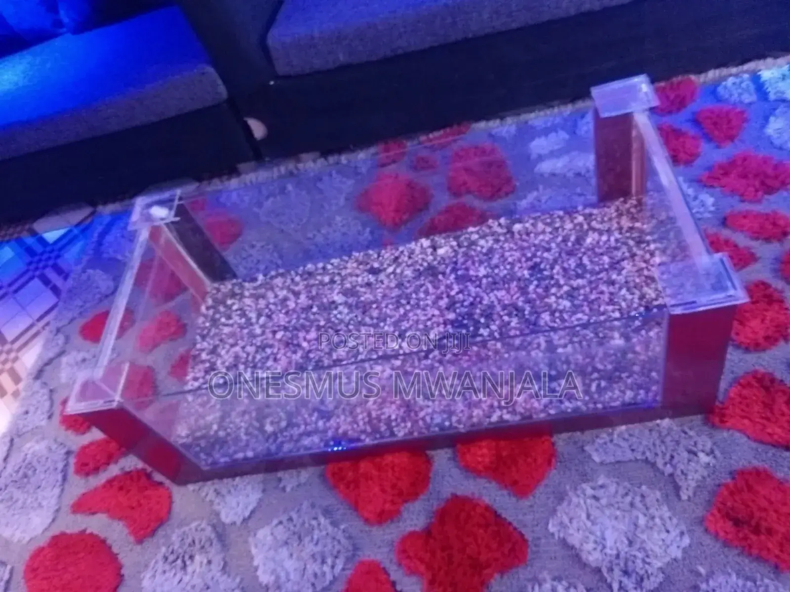 Beautiful Aquarium Fish Tank