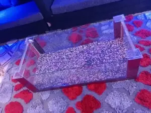 Beautiful Aquarium Fish Tank