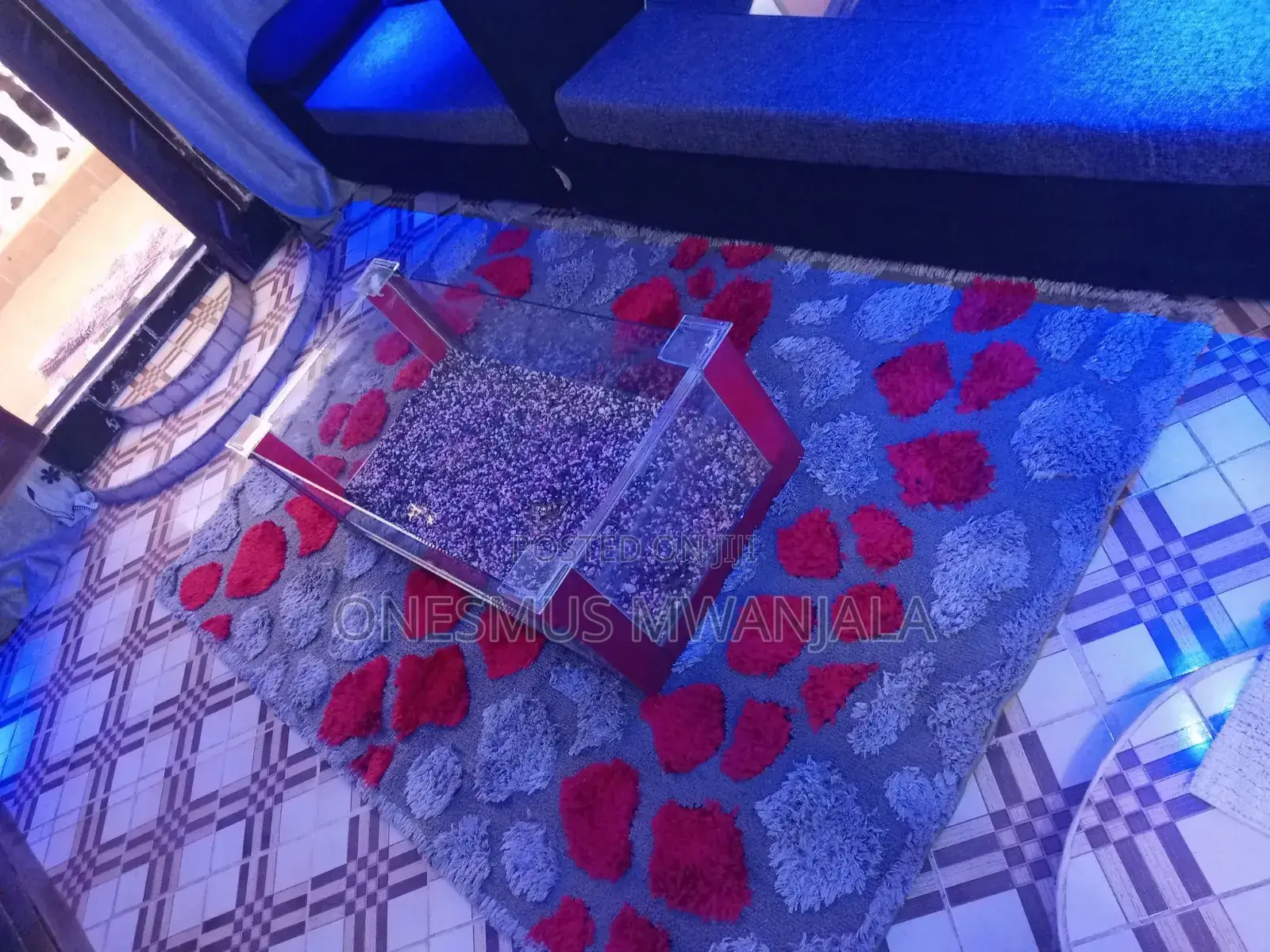 Beautiful Aquarium Fish Tank