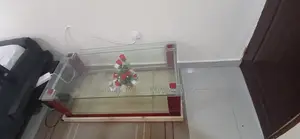 Beautiful Aquarium Fish Tank