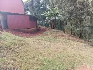 100×100 Plot in Ruaka.
