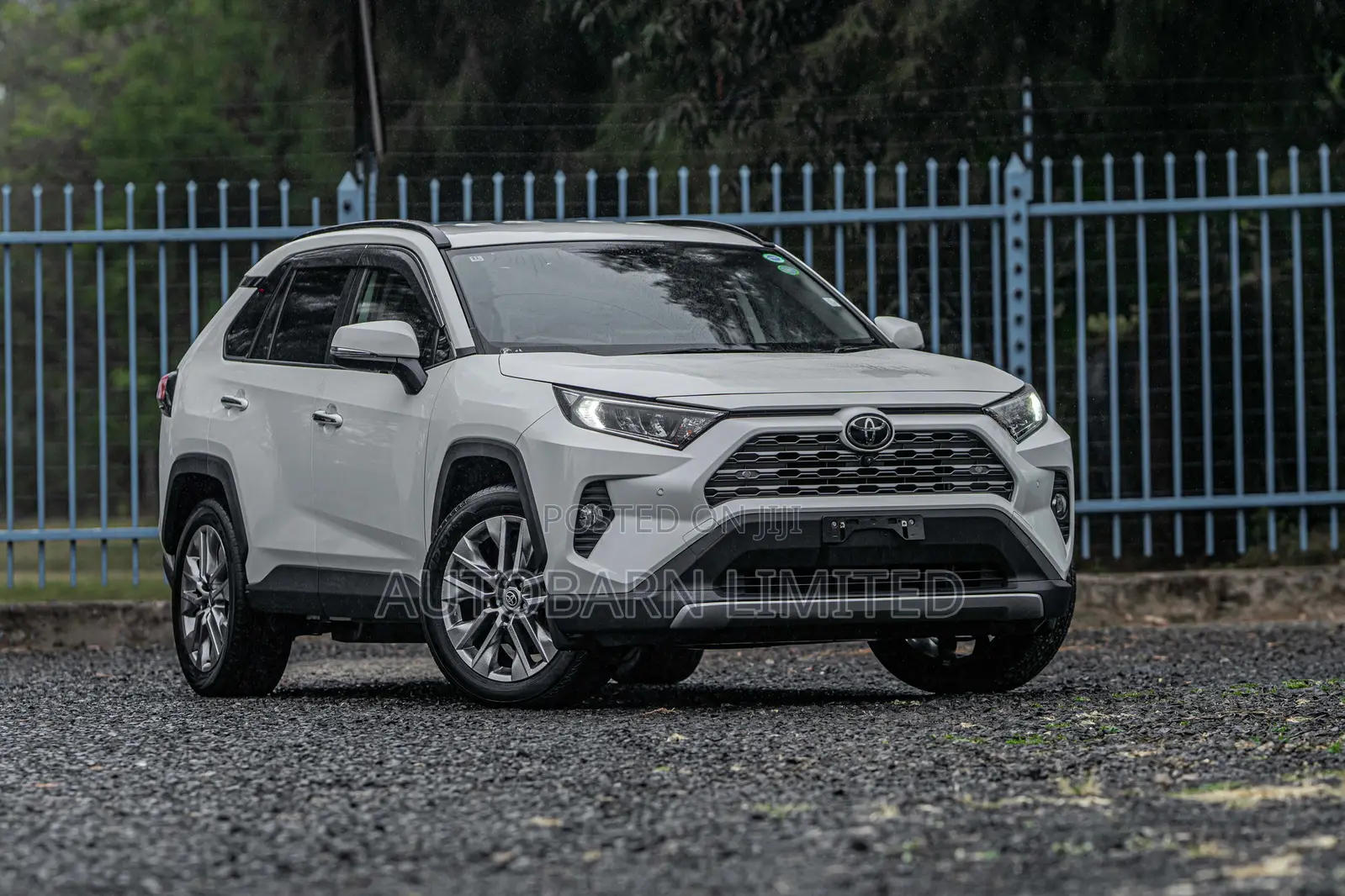 Toyota RAV4 2020 Pearl