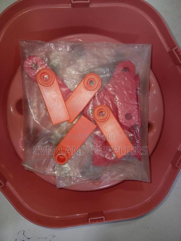Ear Tags - Printed Detail 100 PCS - main view
