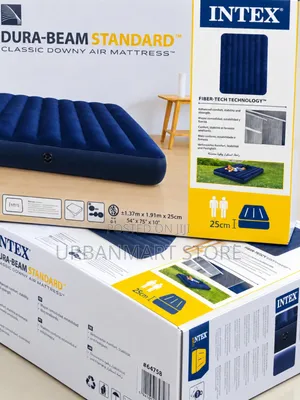 Heavy Duty 4 by 6 Intex Air Mattress With Free Pump
