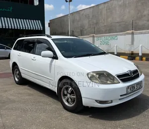 Toyota Corolla Fielder 2003 White