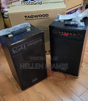 TAGWOOD LTS-10D Portable Bluetooth Double Speakers 2 Microphones