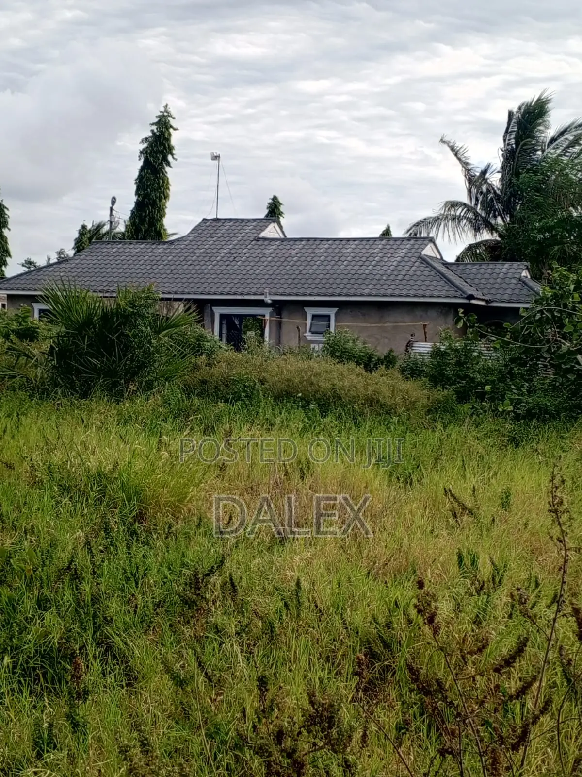 40by110 Plot for Sale With Title Deed
