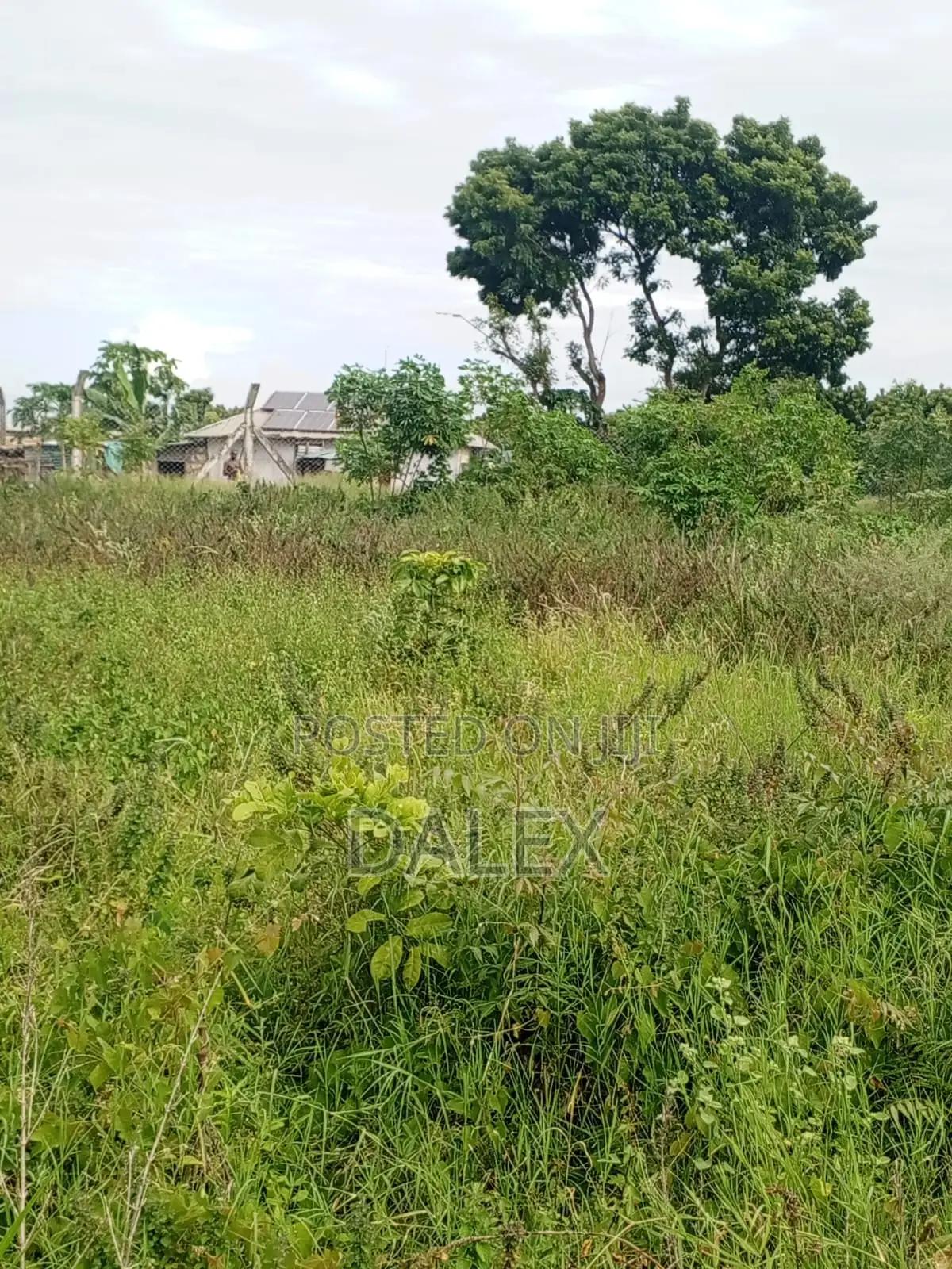 40by110 Plot for Sale With Title Deed