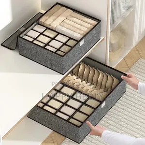 *17 Grid Undergarment Organizer / 3in1 Undergarment Organizer