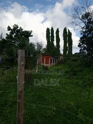 40by110 Plot for Sale With Title Deed