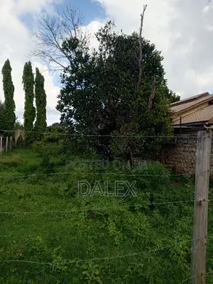 40by110 Plot for Sale With Title Deed