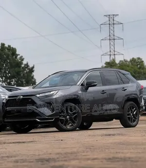 Toyota RAV4 LE AWD 2020 Gray