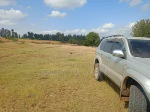 Kirinyaga County Prime 50x100plots in Makutano (Mwea) PI