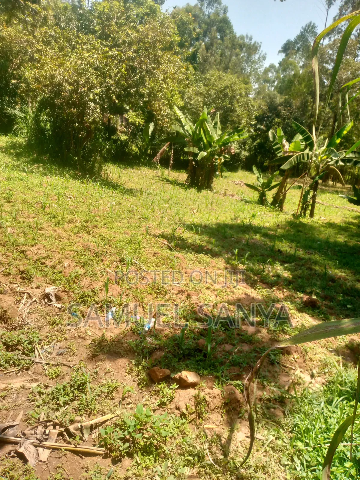 Plot for Sale